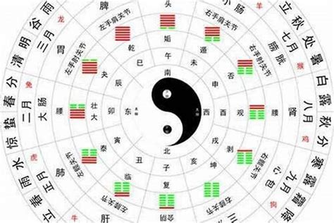 地支的五行|十二地支类象详解 – 十二地支阴阳五行属性